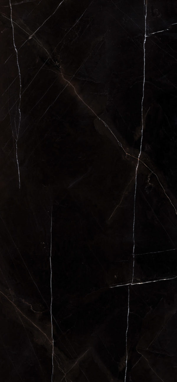 Sahara Noir - obrazek 2