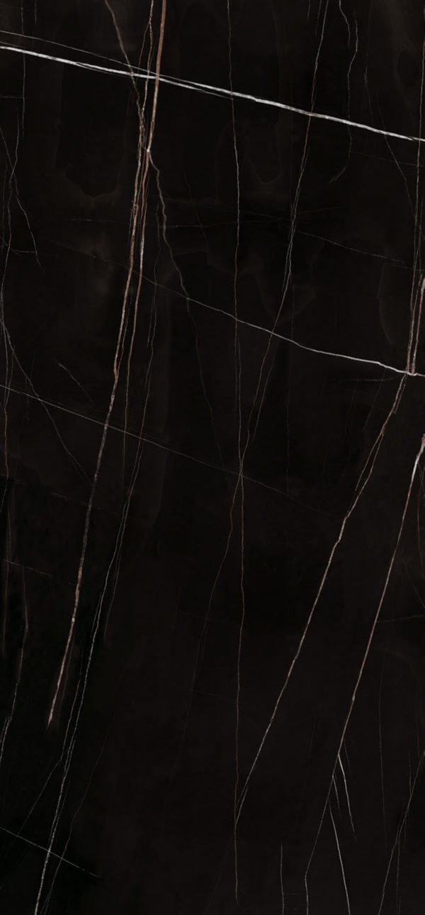 Sahara Noir - obrazek 5
